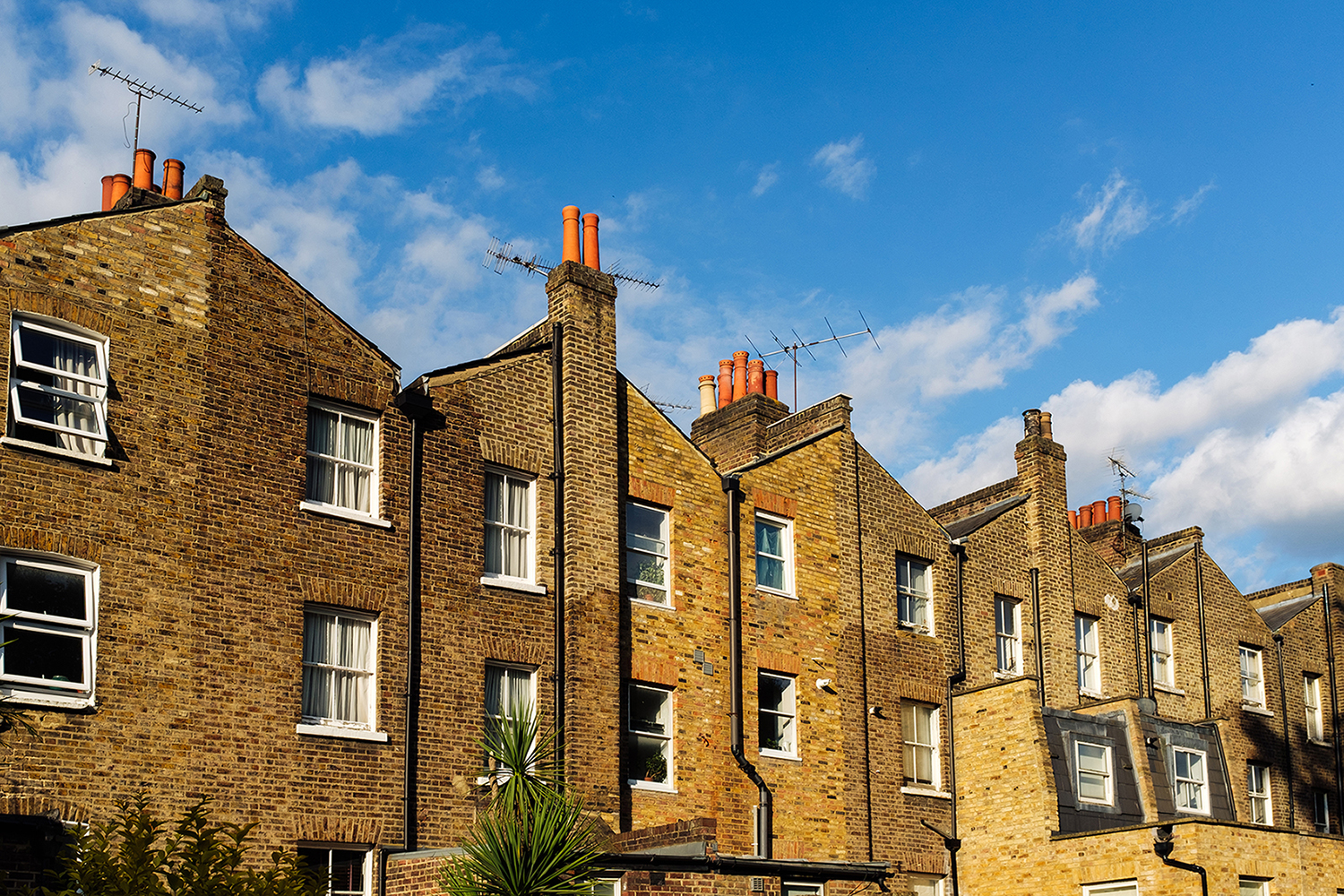 Terraced roofs in worthing